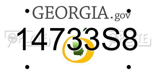14733S8 Georgia License Plate