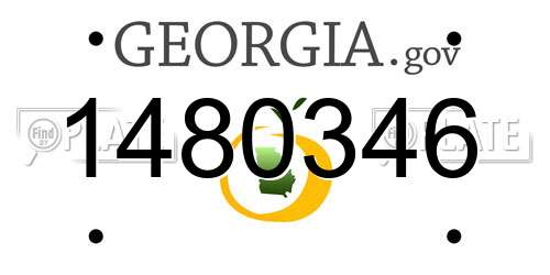 1480346 Georgia License Plate
