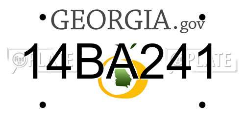 14BA241 Georgia License Plate