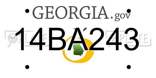 14BA243 Georgia License Plate