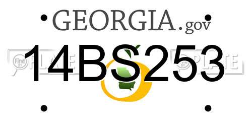 14BS253 Georgia License Plate