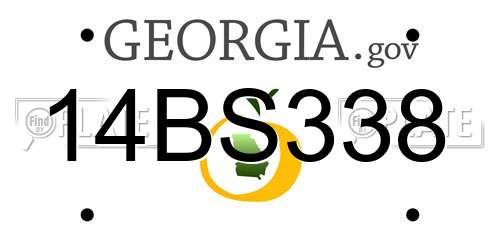 14BS338 Georgia License Plate