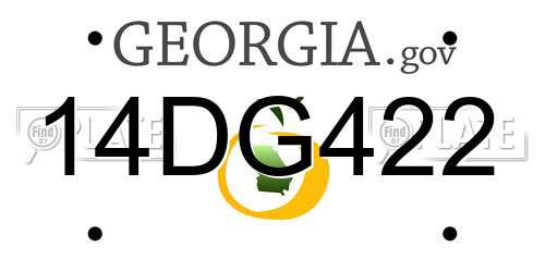 14DG422 Georgia License Plate
