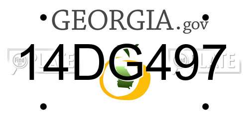 14DG497 Georgia License Plate