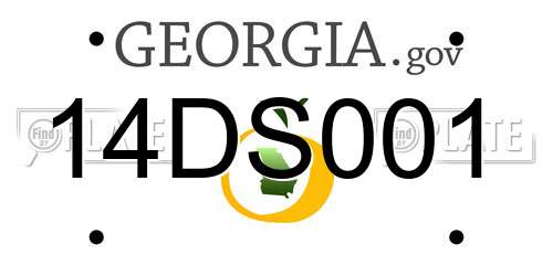 14DS001 Georgia License Plate