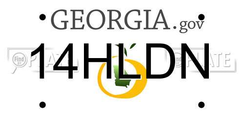 14HLDN Georgia License Plate