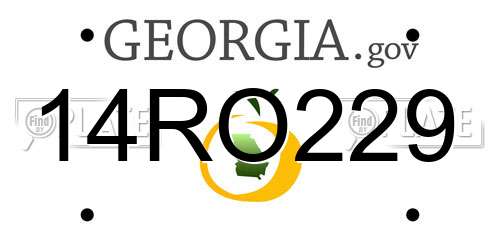 14RO229 Georgia License Plate