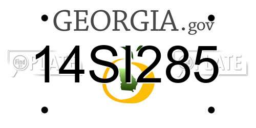14SI285 Georgia License Plate