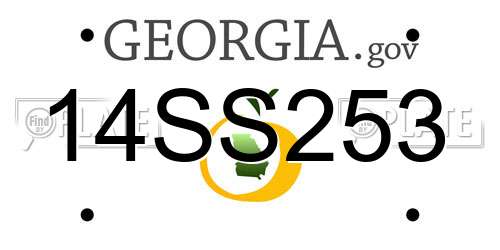 14SS253 Georgia License Plate