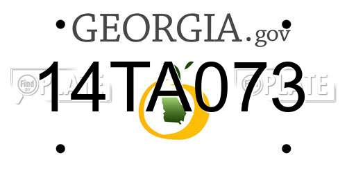 14TA073 Georgia License Plate