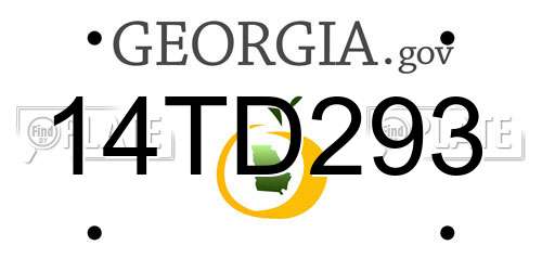 14TD293 Georgia License Plate