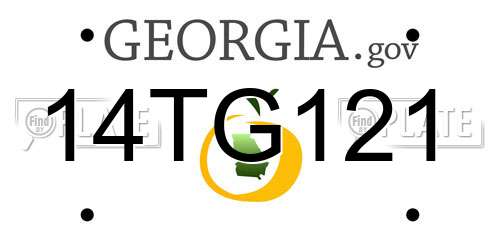 14TG121 Georgia License Plate