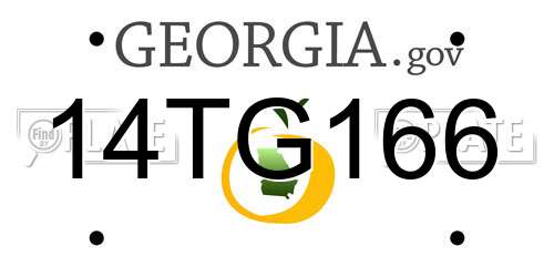 14TG166 Georgia License Plate