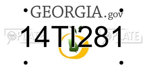 14TI281 Georgia License Plate