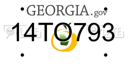 14TO793 Georgia License Plate