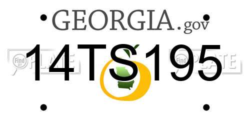 14TS195 Georgia License Plate