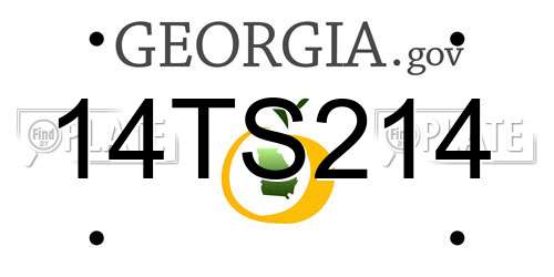 14TS214 Georgia License Plate