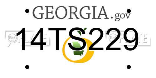 14TS229 Georgia License Plate