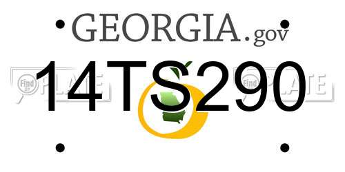 14TS290 Georgia License Plate