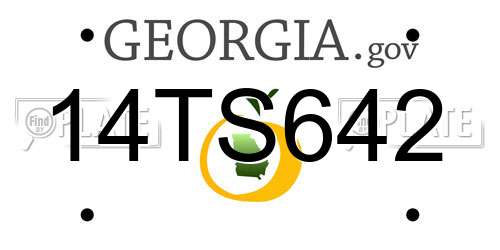 14TS642 Georgia License Plate