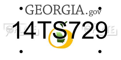 14TS729 Georgia License Plate