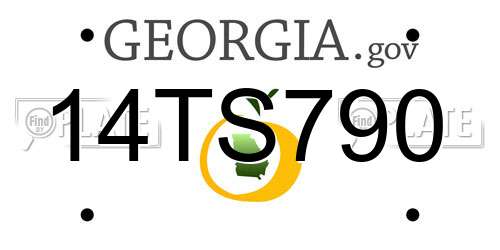 14TS790 Georgia License Plate