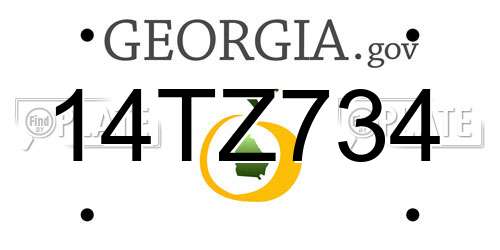 14TZ734 Georgia License Plate