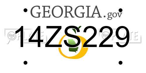 14ZS229 Georgia License Plate