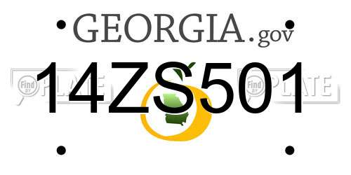 14ZS501 Georgia License Plate