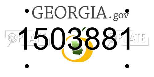 1503881 Georgia License Plate