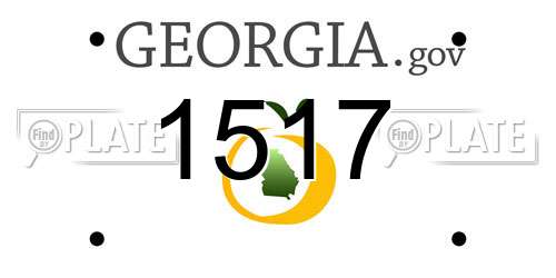 1517 Georgia License Plate