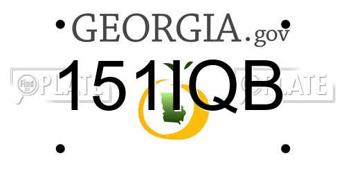 151IQB Georgia License Plate