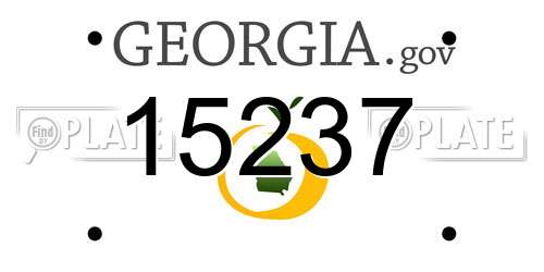 15237 Georgia License Plate