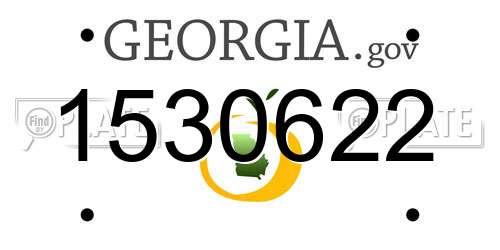 1530622 Georgia License Plate