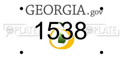 1538 Georgia License Plate