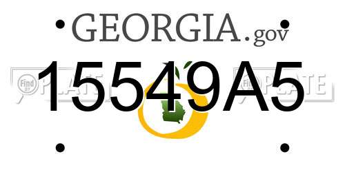 15549A5 Georgia License Plate
