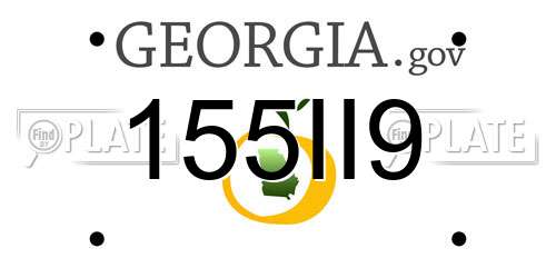 155II9 Georgia License Plate