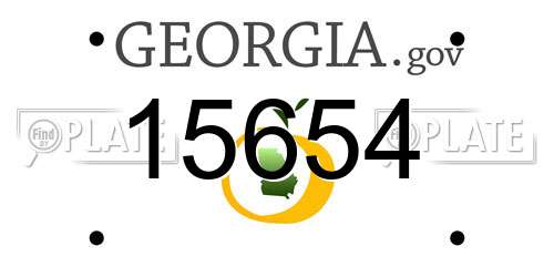 15654 Georgia License Plate