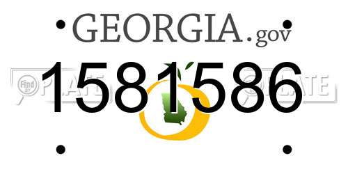 1581586 Georgia License Plate