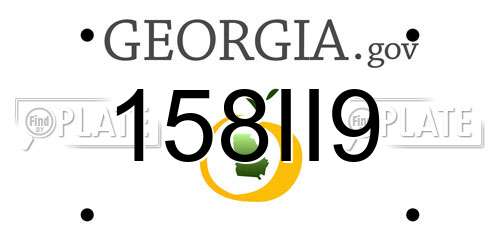 158II9 Georgia License Plate