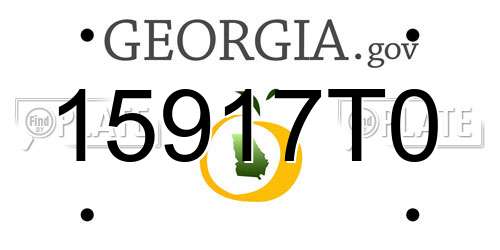 15917T0 Georgia License Plate