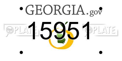 15951 Georgia License Plate