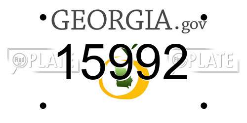 15992 Georgia License Plate