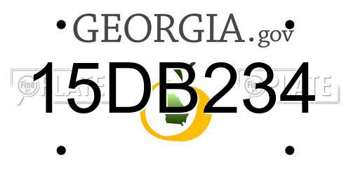 15DB234 Georgia License Plate