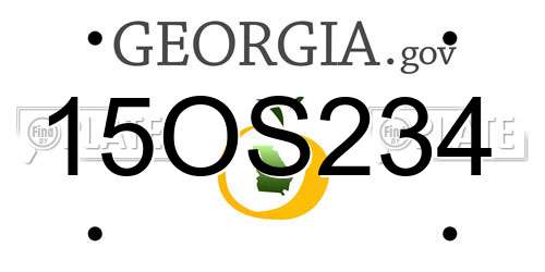 15OS234 Georgia License Plate