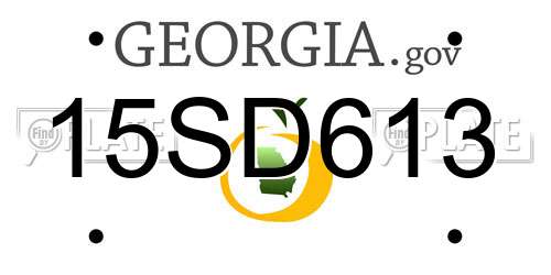 15SD613 Georgia License Plate