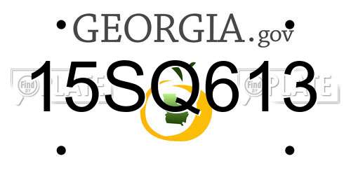 15SQ613 Georgia License Plate