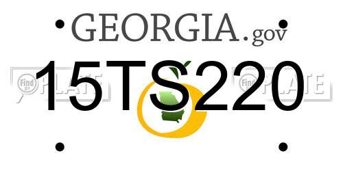 15TS220 Georgia License Plate