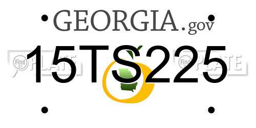 15TS225 Georgia License Plate