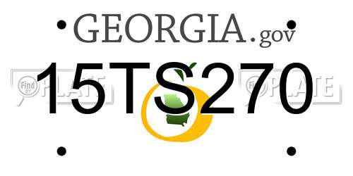 15TS270 Georgia License Plate